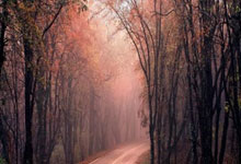 LOL-关于赛地聚焦：法联杯今晚热度飙升，韩国国家队完成体检，信心回归，数据层面出现新趋势的信息